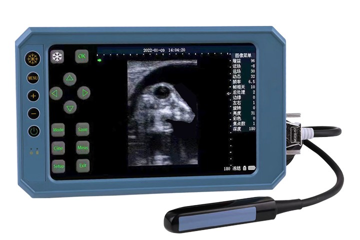 BU403T Hand-Ultraschallscanner Typ B mit berührungsempfindlichem Bildschirm und 6,5-MHz-Rektal-Linear-Array-Sonde für den veterinärmedizinischen Einsatz