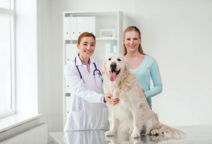 Haswell ist der beste Hersteller veterinärmedizinischer Geräte aus China